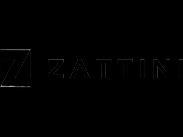 Zattini Logo